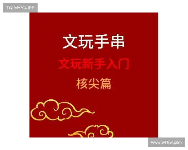 从新手到高手 完美通关指南与终极技巧解析 从新手到高手 完美通关指南与终极技巧解析