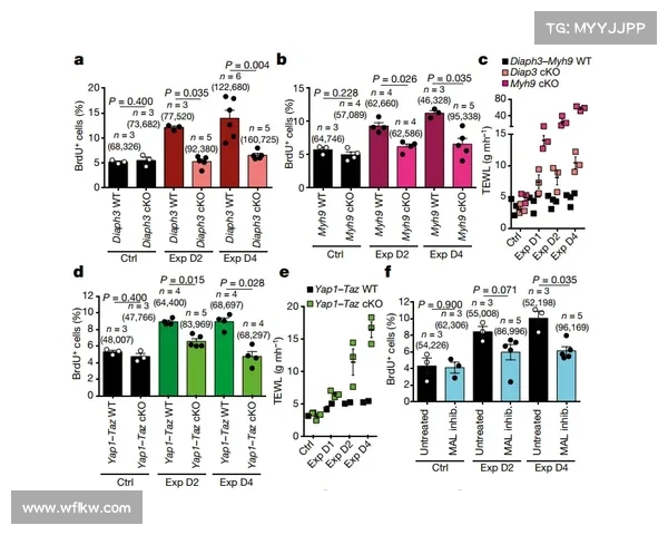 揭示火焰玻璃的神秘诞生全过程与工艺背后的科学原理