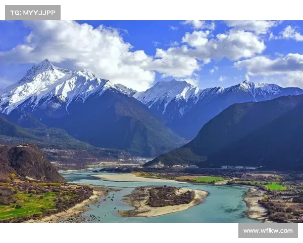 回望中国足球逼平巴西的激战时刻与赛场细节全景深度纪实解读