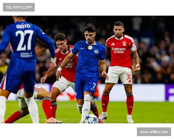 探秘英冠赛场背后的荣耀与激情揭示绿茵争霸的非凡故事