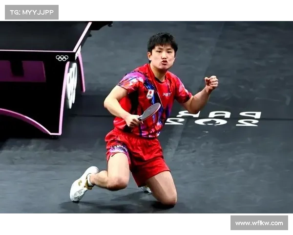 张本智和的失败给我们的人生启示：从挫折中汲取力量与成长